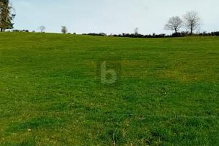 GRUNDSTÜCK MIT BAUPOTENZIAL UND WEITBLICK - Grundstück Burbach | Angebot:26421161
