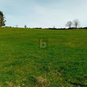 GRUNDSTÜCK MIT BAUPOTENZIAL UND WEITBLICK - Grundstück Burbach | Angebot:26421161