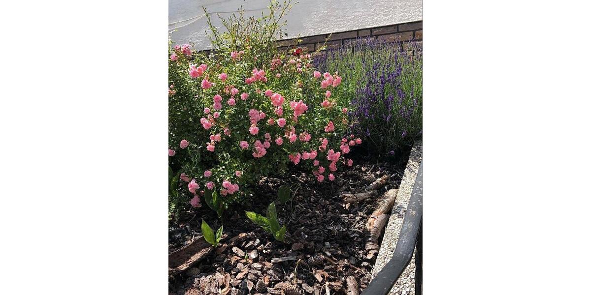 Etagenwohnung Hemer - 2 Zimmer, 66 m&sup2;, 650&euro; | Angebot:26321217