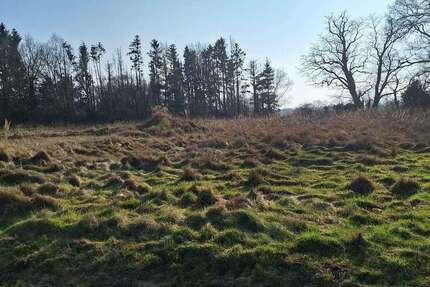 Grundstück in Vollersode 749.000 € 5167 m² zimmer