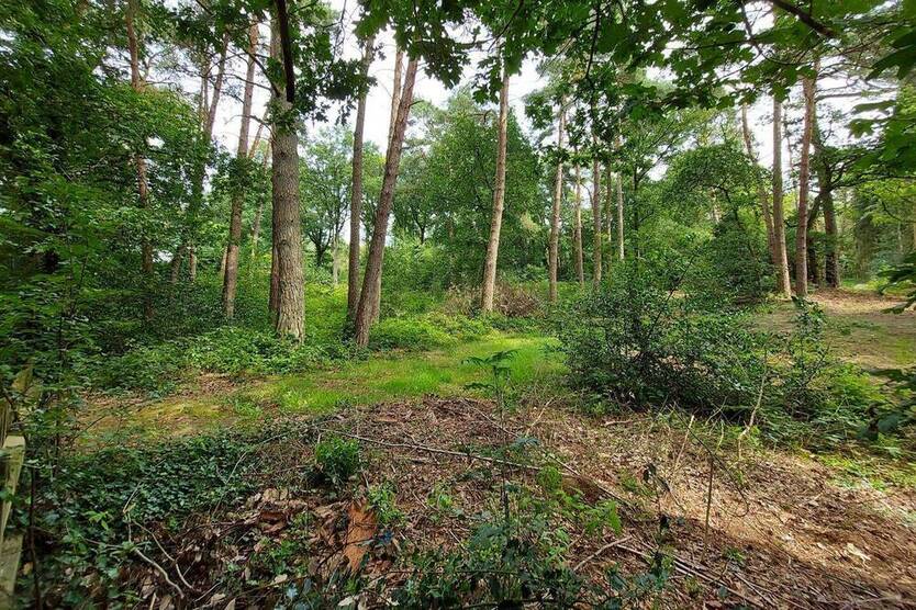 Baugrundstück in ruhiger Nachbarschaft und allerschönster Lage nahe Worpswede