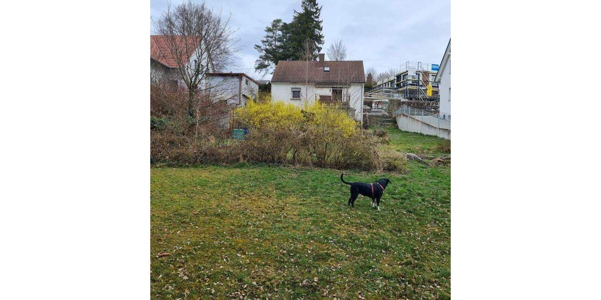 Grundstück Neusäß / Hammel Hammel - 590.000&euro; | Angebot:25713862