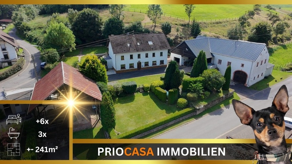 Historisches Anwesen mit 241 m² Wohnfläche & 36.000 m² Grundstück ,54675 Mettendorf – ca. 12 min Vianden, 22 min Diekirch, 22 min Echternach 8.5 zimmer