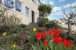 Doppelhaushälfte Ingolstadt Friedrichshofen-Hollerstauden - 5 Zimmer, 102 m&sup2;, 550.000&euro; | Angebot:26227942