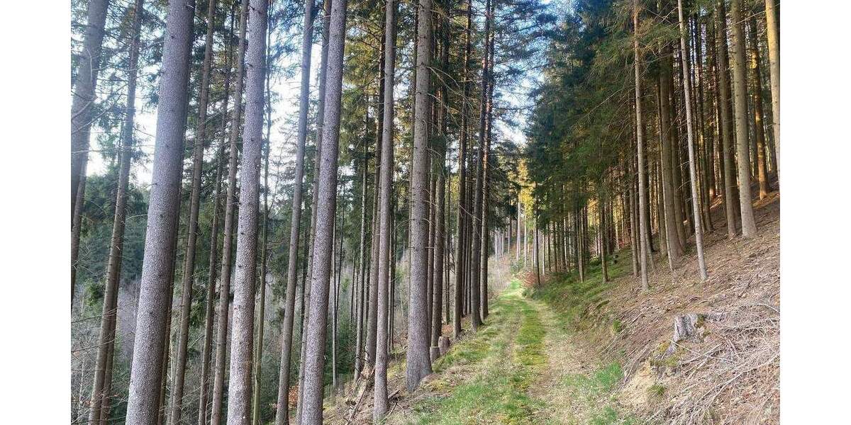 Grundstück Flossenbürg - 170.000&euro; | Angebot:26036735