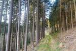 Grundstück Flossenbürg - 170.000&euro; | Angebot:26036735