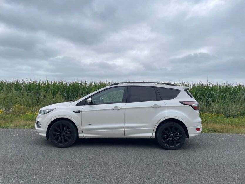Kuga
