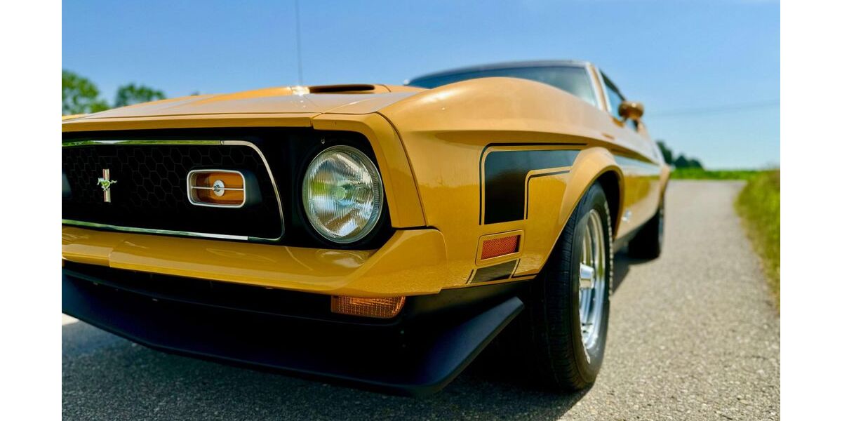 Ford Mustang 65.000 km 44.900 &euro; Moosinning 85452