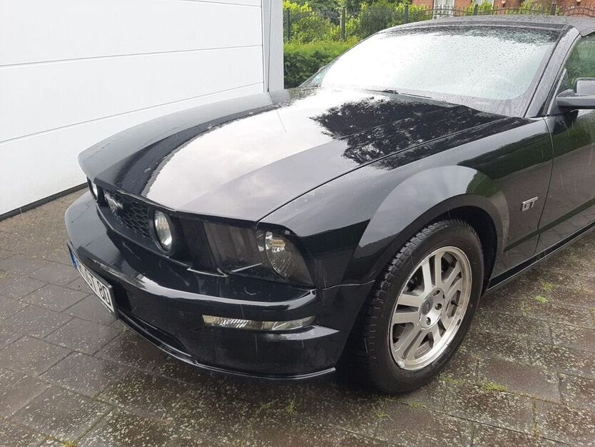 Mustang
