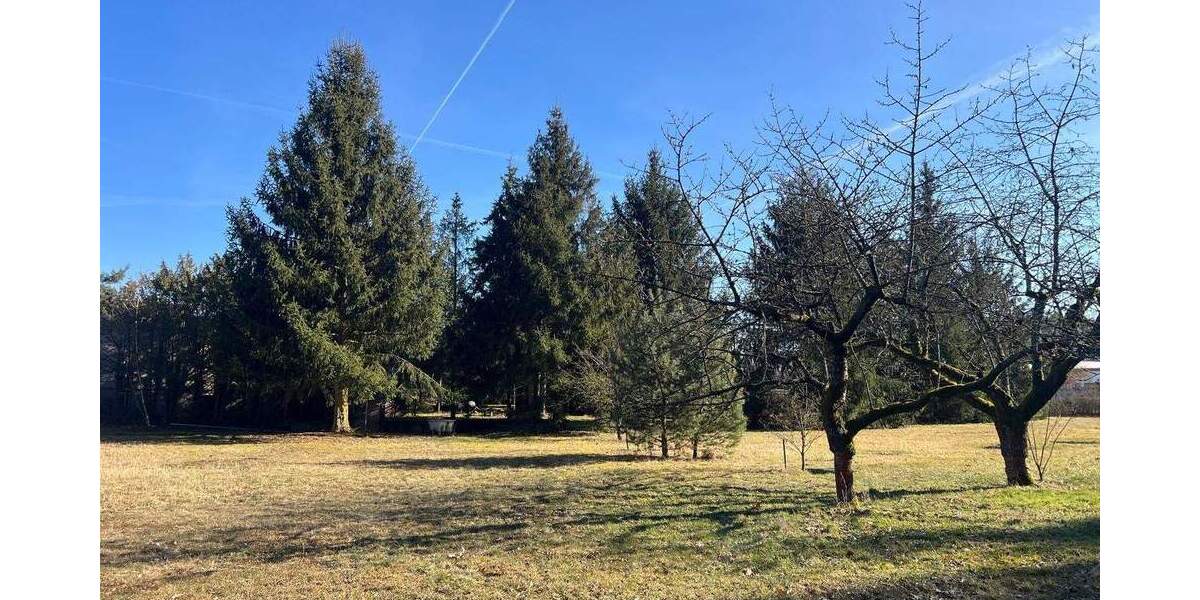 Grundstück Elsterwerda Kraupa - 250.000&euro; | Angebot:25929369