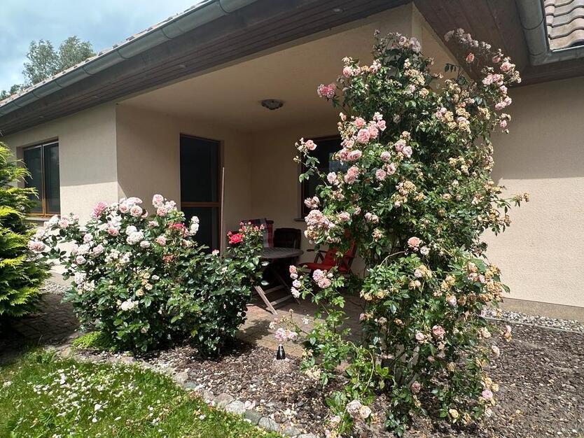 Idyllisch gelegenes Einfamilienhaus mit individuellem Grundriss