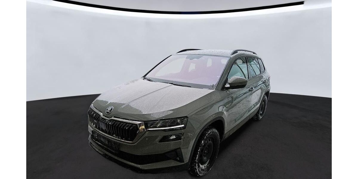 Skoda Karoq 111.000 km 24.890 &euro; Helmstedt 38350
