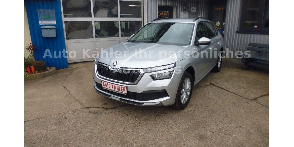 Skoda Kamiq 116.000 km 17.800 &euro; Stapel 25879