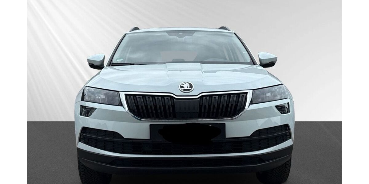 Skoda Karoq 145.000 km 15.000 € Wunstorf 31515