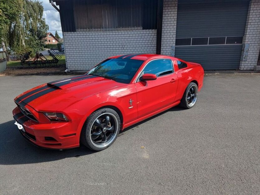 Mustang