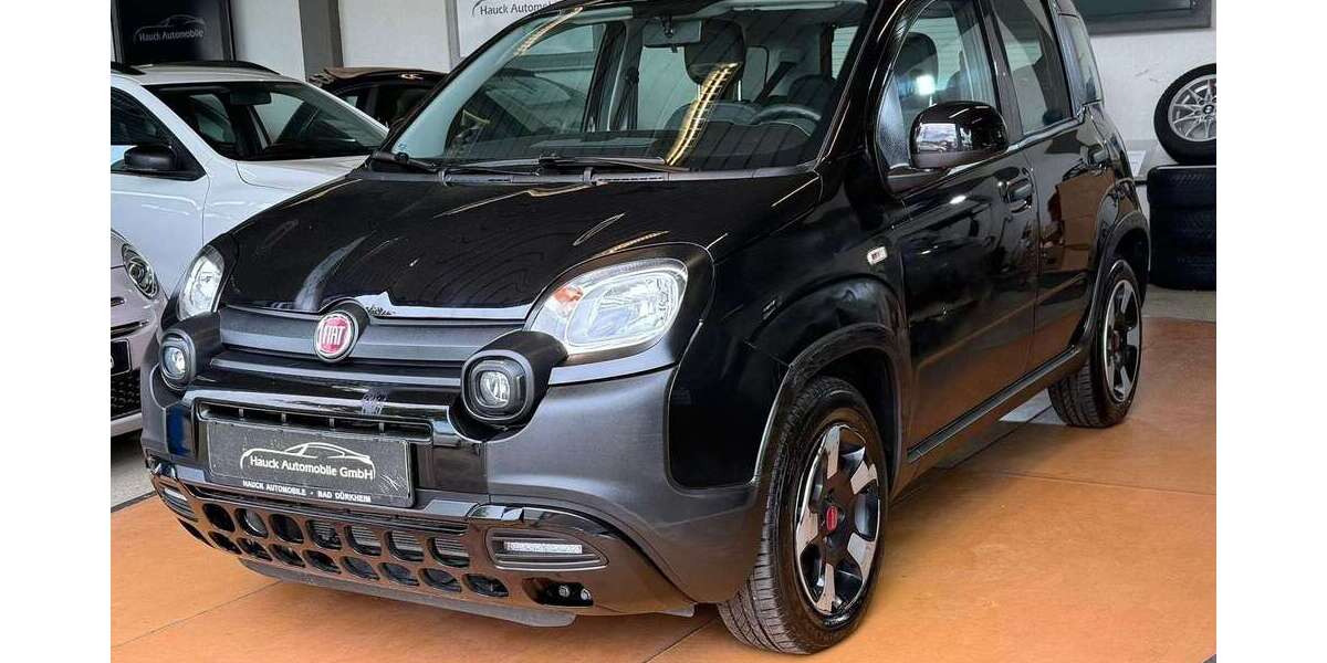 Fiat Panda 10.740 km 9.590 &euro; Bad Duerkheim 67098