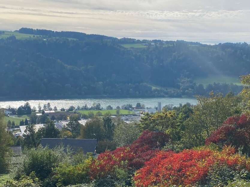 Grundstück zu verkaufen in Obernzell 275.000 € 1252 m²