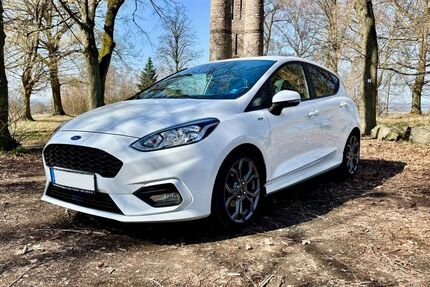 Ford Fiesta 136.000 km 11.490 &euro; Hochstetten-Dhaun 55606