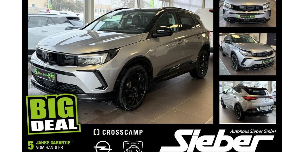 Opel Grandland (X) 95.321 km 16.490 &euro; Landshut 84034