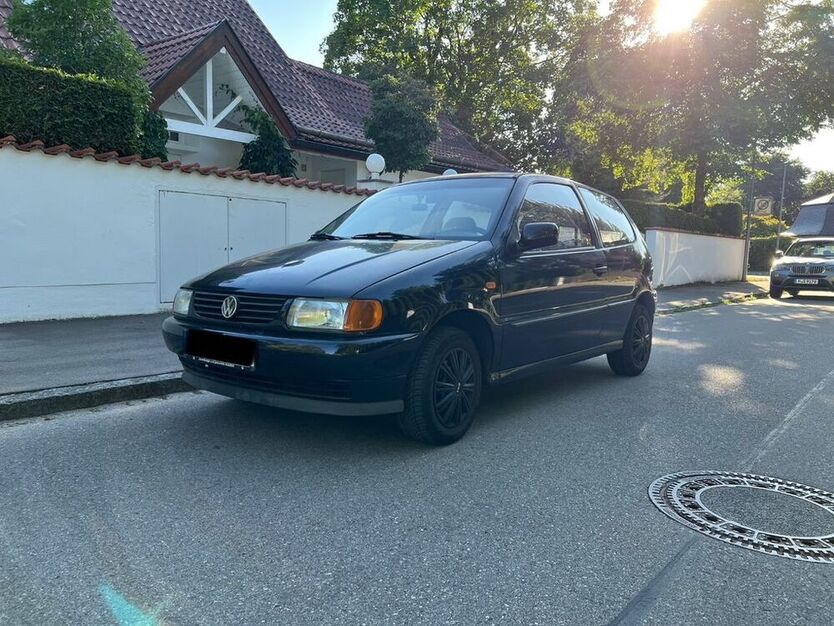 Polo