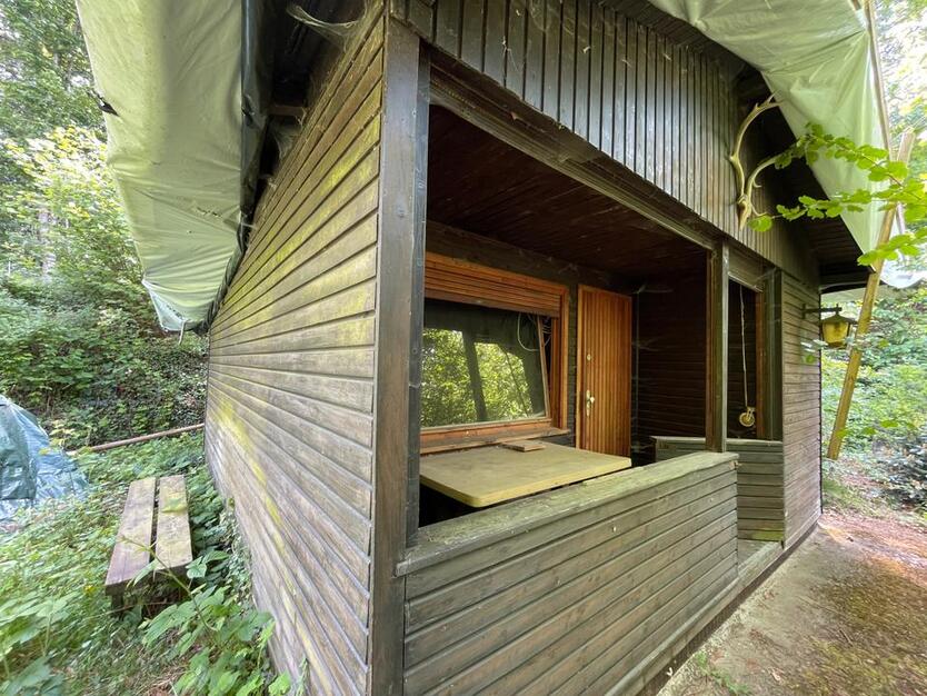 Waldgrundstück mit maroder Waldhütte