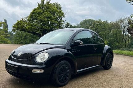 VW Beetle 165.000 km 1.900 &euro; Braunschweig 38122