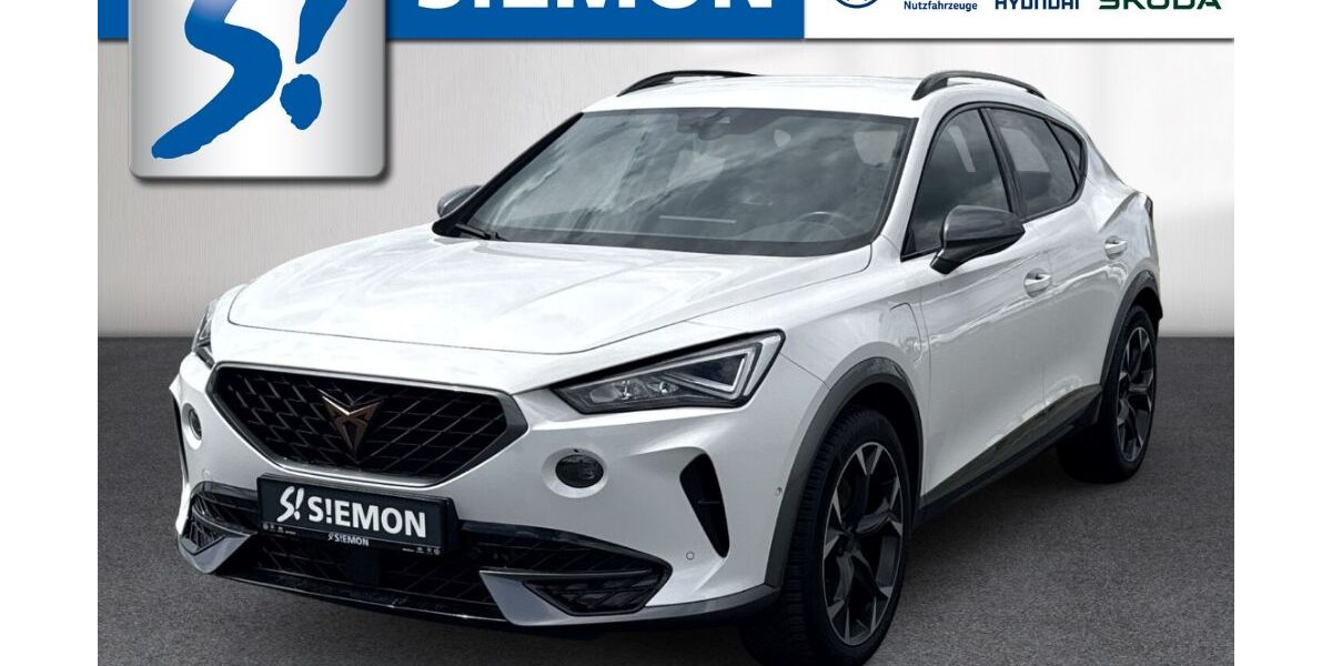 Cupra Formentor 62.105 km 24.980 &euro; Emsdetten 48282