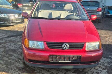 VW Polo