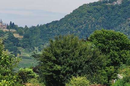 Grundstück zu verkaufen in Bonn 985.000 € 1698 m² zimmer