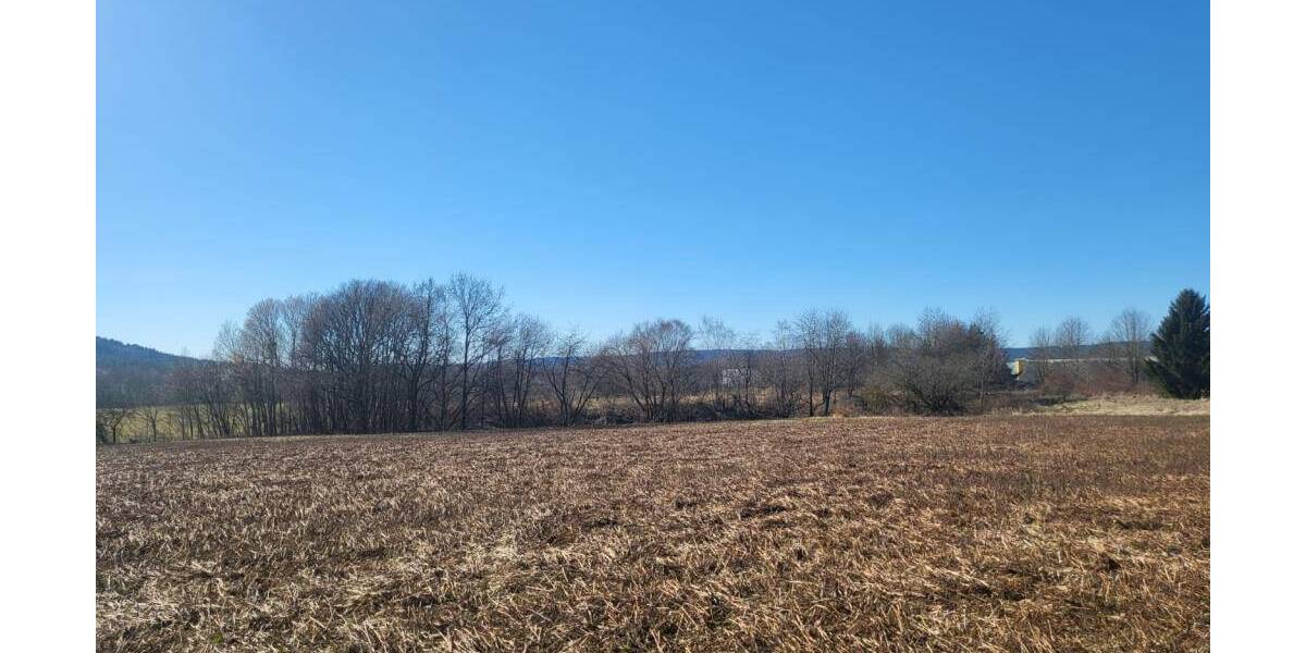 Grundstück Sonneberg Blechhammer - 24.000&euro; | Angebot:25985987