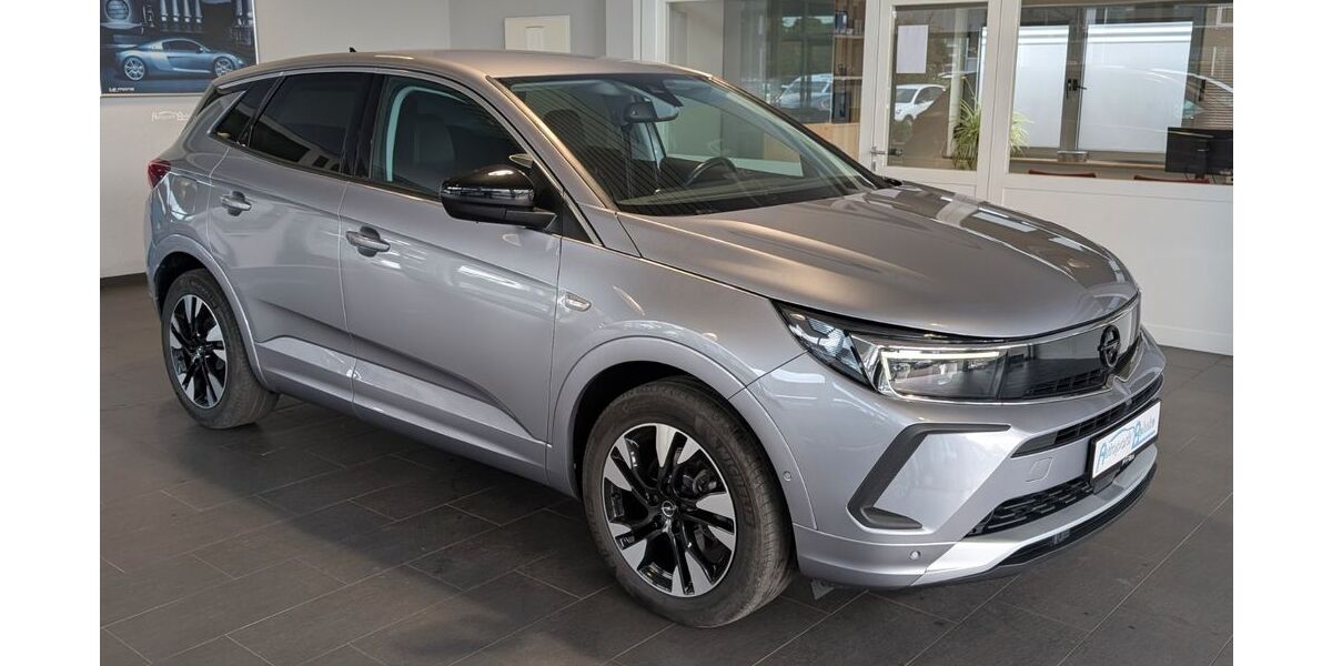 Opel Grandland (X) 123.245 km 16.950 &euro; Achim Bierden 28832