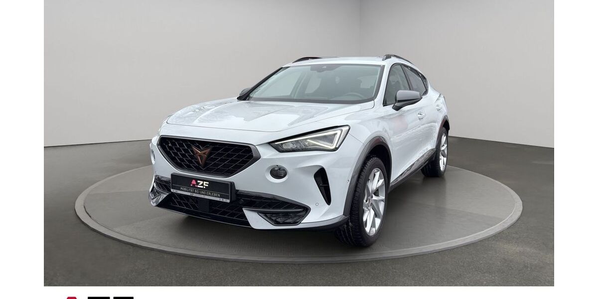 Cupra Formentor 49.269 km 25.480 &euro; Flensburg 24941