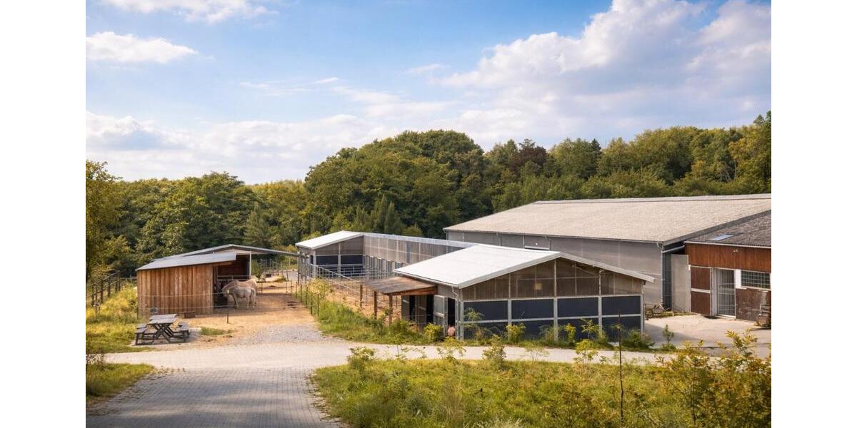 Dachgeschoßwohnung Gevelsberg - 3 Zimmer, 75 m&sup2;, 1.050&euro; | Angebot:24941237