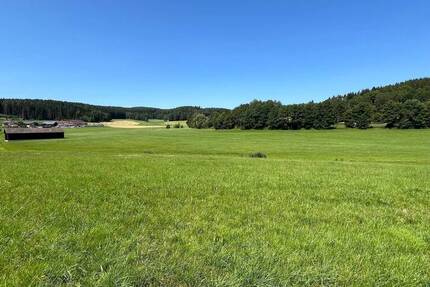 Grundstück Waidhaus - 100.000&euro; | Angebot:23886247