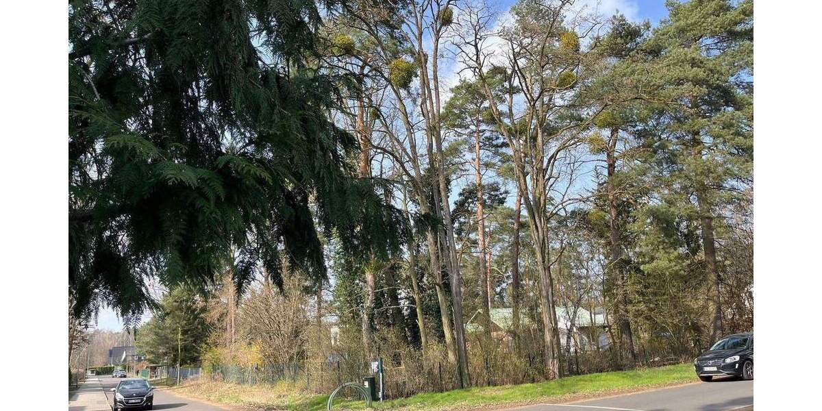 Einfamilienhaus Falkensee - 975.000&euro; | Angebot:25998812