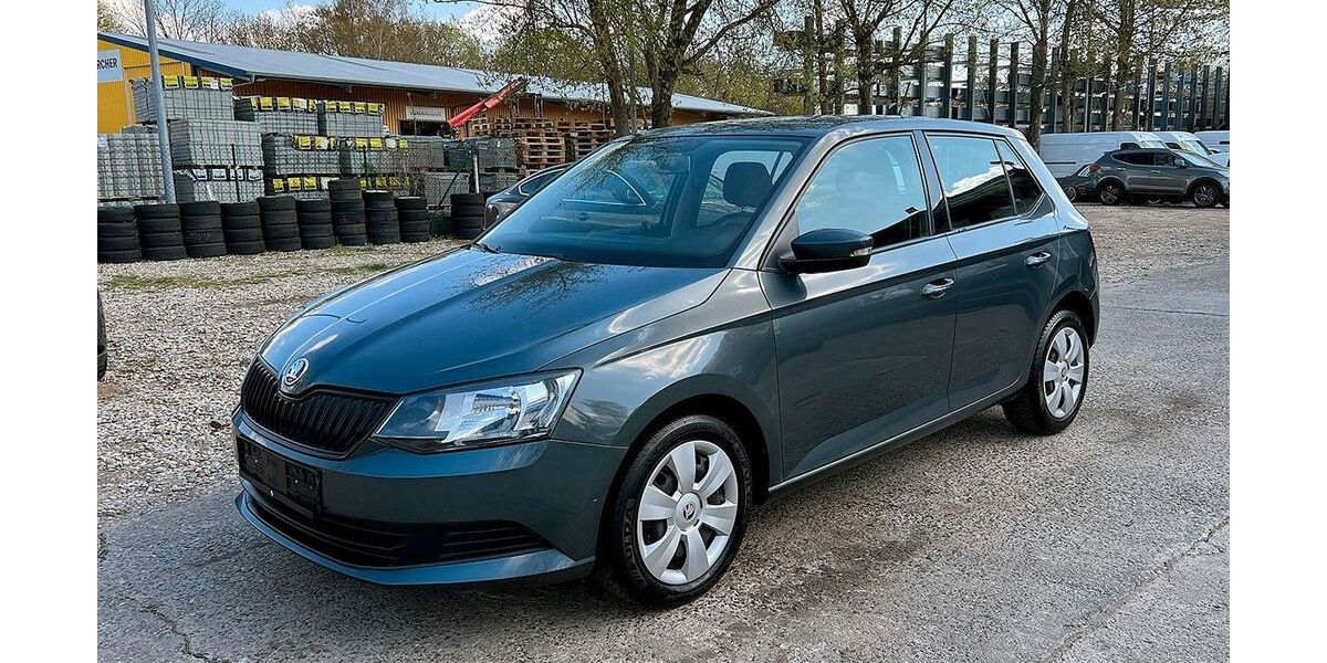 Skoda Fabia 174.000 km 4.499 &euro; Berlin-Pankow 13127