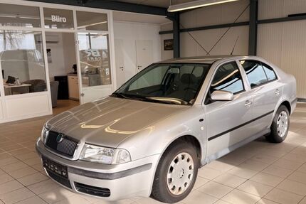Skoda Octavia 166.000 km 4.490 &euro; Egestorf 21272