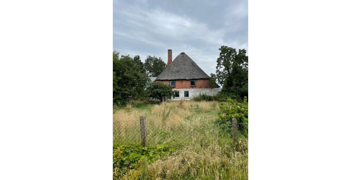 Provisionsfrei* Denkmalgeschütztes Reetdachhaus von 1865 - großes Grundstück & Ausbaupotenzial - Bauernhaus, Landhaus Seeth | Angebot:27030546