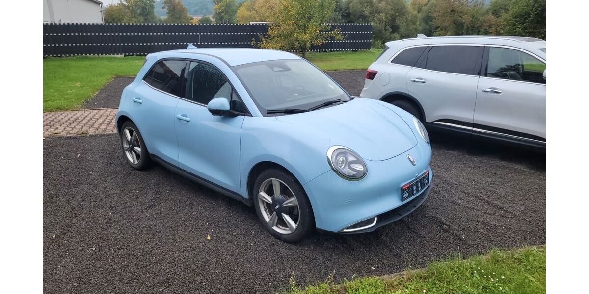 ORA Funky Cat 17.500 km 19.990 &euro; Crossen 07613