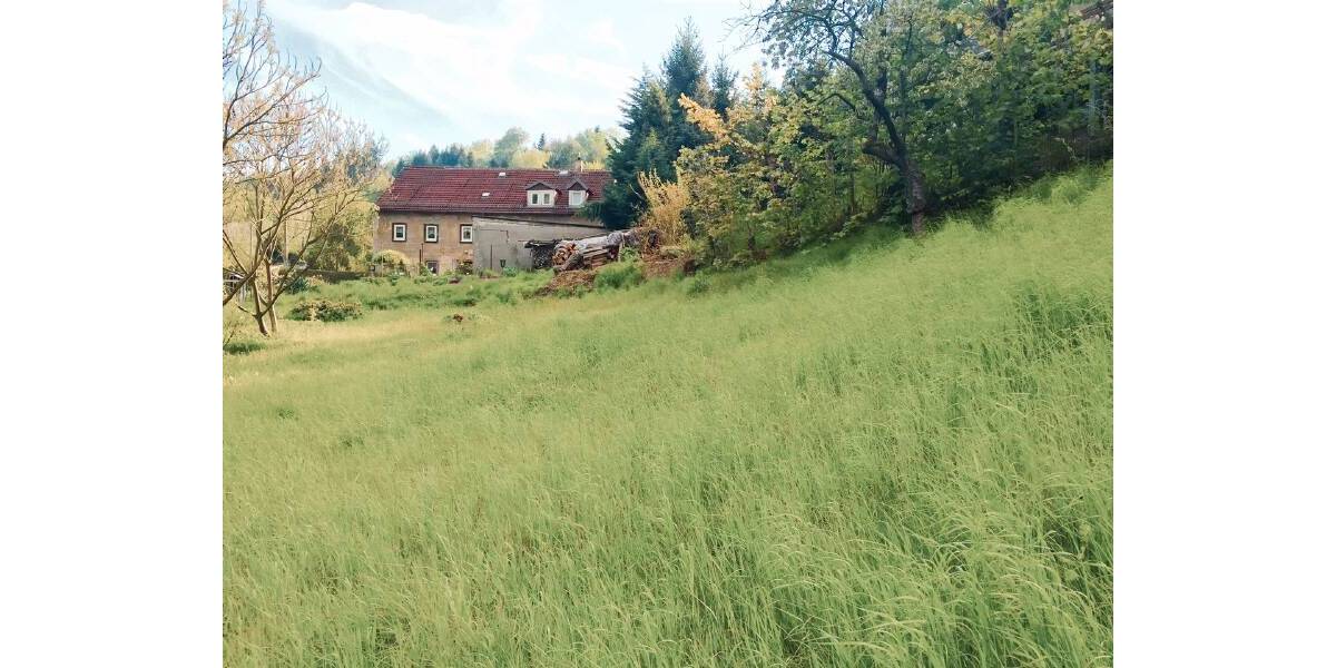 Grundstück Tharandt - 89.000&euro; | Angebot:23976084