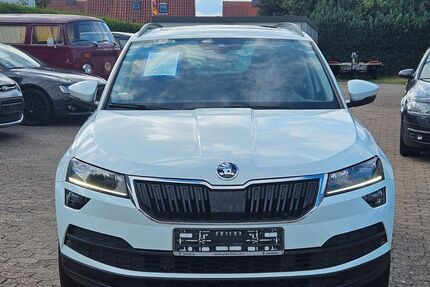 Skoda Karoq 217.000 km 12.999 &euro; Munster 29633