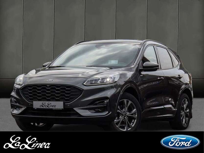 Kuga