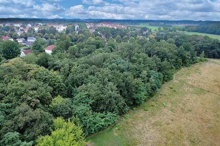 0,8 ha Waldfläche innerhalb einer Wohnsiedlung - 2 km von der Berliner Stadtgrenze