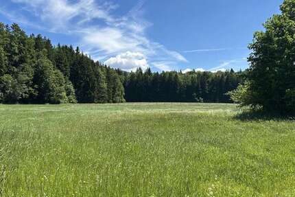 Grundstück Siegsdorf / Hammer Hammer - 717.500&euro; | Angebot:26834449