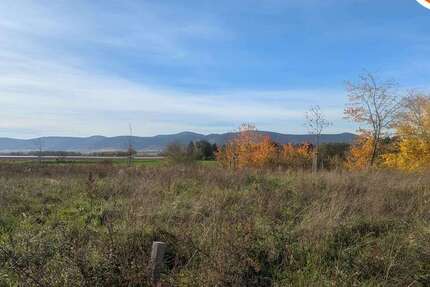 Grundstück zu verkaufen in Neustadt 487.500 € 650 m² zimmer