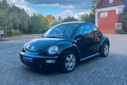 VW New Beetle