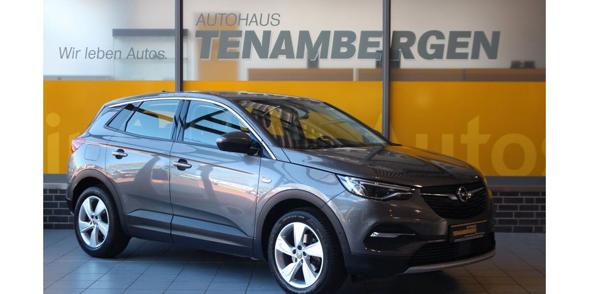 Opel Grandland (X) 93.400 km 16.400 &euro; Mettingen 49497