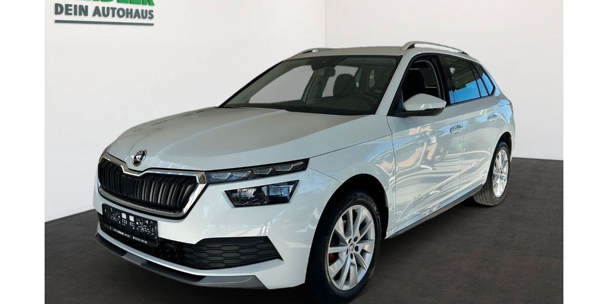 Skoda Kamiq 64.510 km 17.950 &euro; Mylau 08499