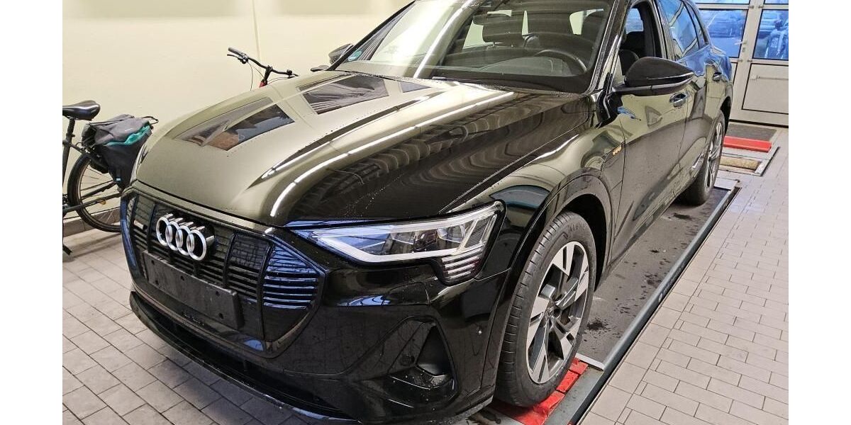 Audi e-tron 47.096 km 35.840 &euro; Hagen 58091