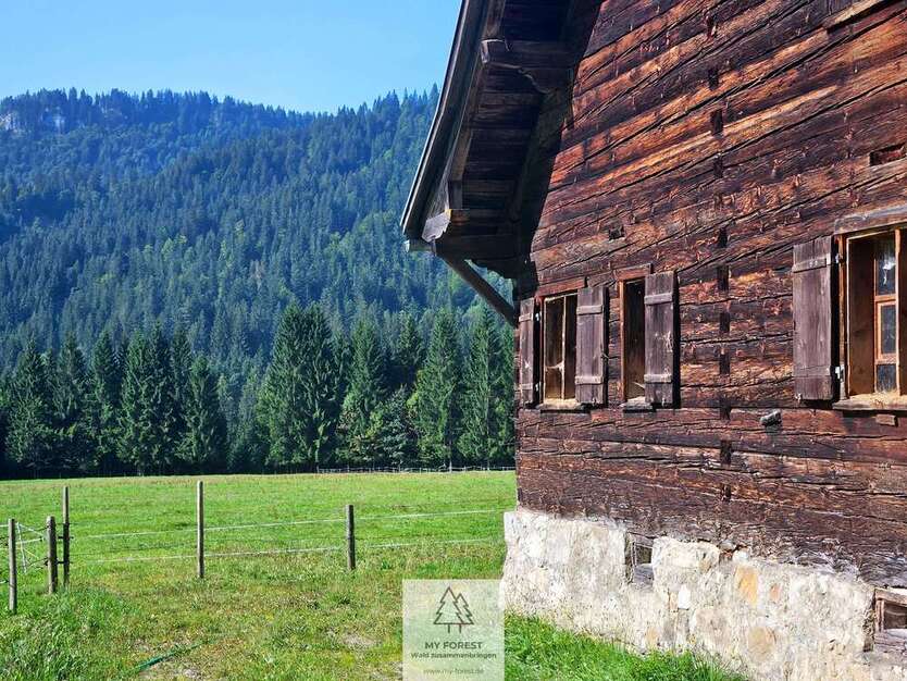 Haus zum Kaufen in Balderschwang 4.950.000 € 120 m² 4 zimmer